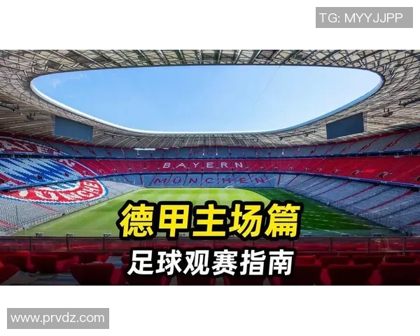 足球球迷观赛指南助你畅享激情赛事体验与精彩瞬间的完美攻略